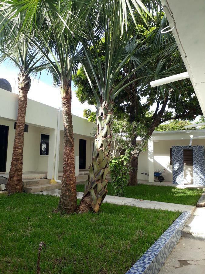 Hotel Bea And Cozumel