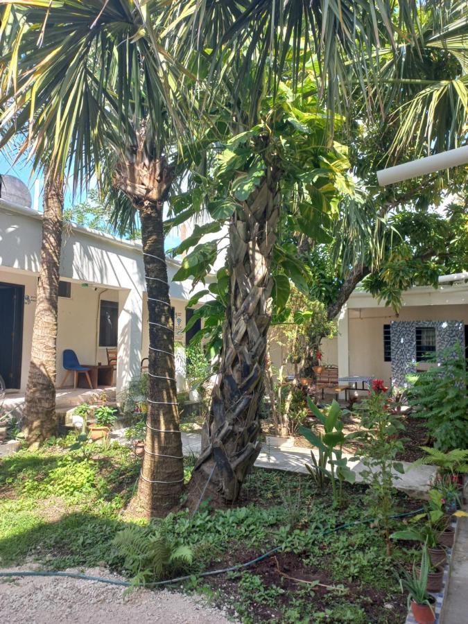 Hotel Bea Rooms&studios Cozumel